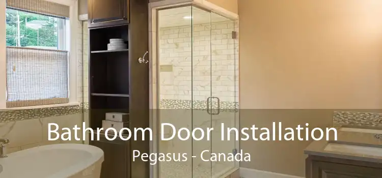 Bathroom Door Installation Pegasus - Canada