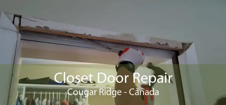 Closet Door Repair Cougar Ridge - Canada