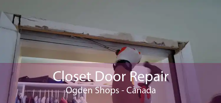 Closet Door Repair Ogden Shops - Canada