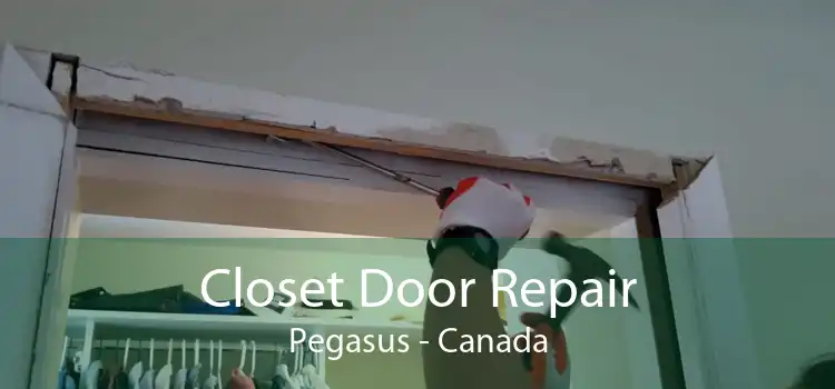 Closet Door Repair Pegasus - Canada