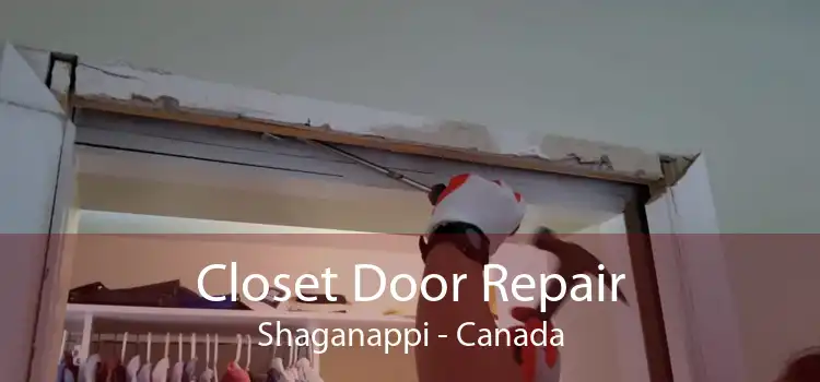 Closet Door Repair Shaganappi - Canada