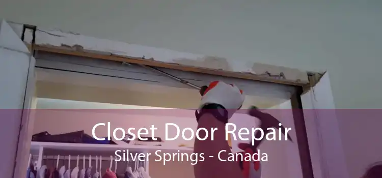 Closet Door Repair Silver Springs - Canada