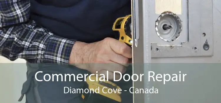 Commercial Door Repair Diamond Cove - Canada