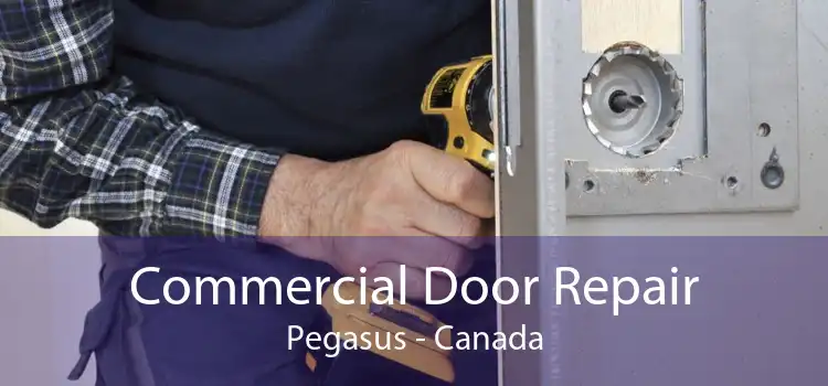 Commercial Door Repair Pegasus - Canada
