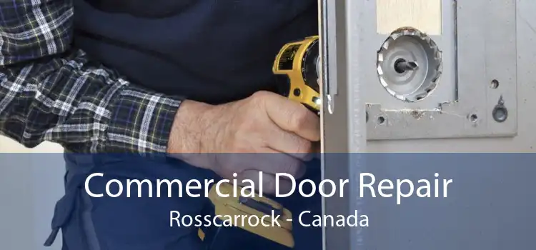 Commercial Door Repair Rosscarrock - Canada