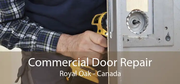 Commercial Door Repair Royal Oak - Canada