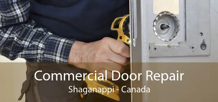 Commercial Door Repair Shaganappi - Canada