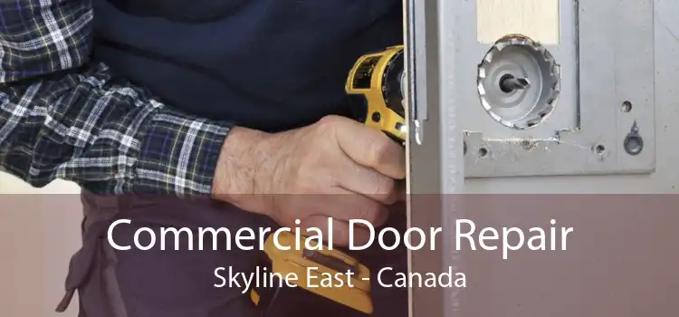Commercial Door Repair Skyline East - Canada