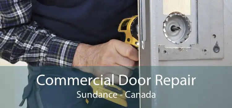 Commercial Door Repair Sundance - Canada