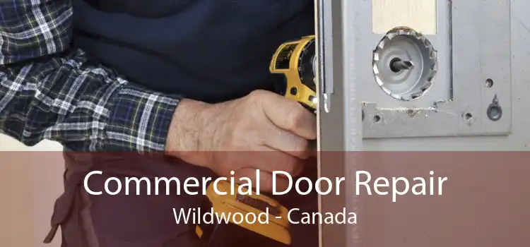 Commercial Door Repair Wildwood - Canada