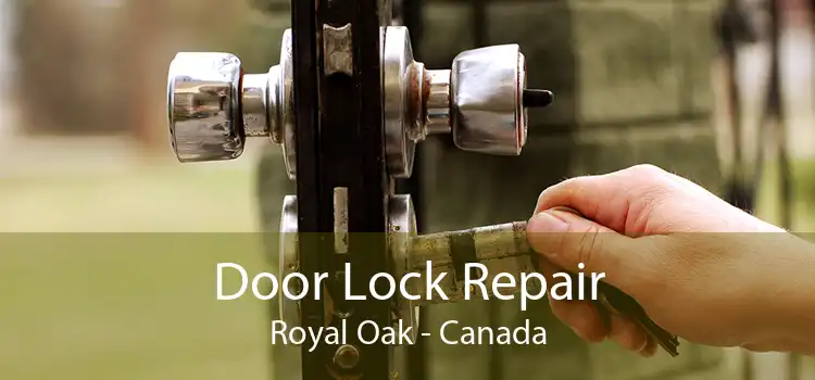 Door Lock Repair Royal Oak - Canada