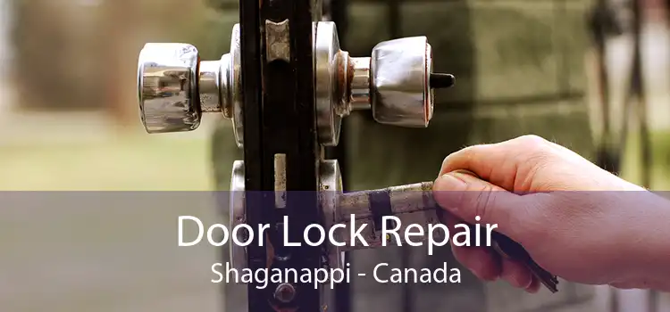 Door Lock Repair Shaganappi - Canada
