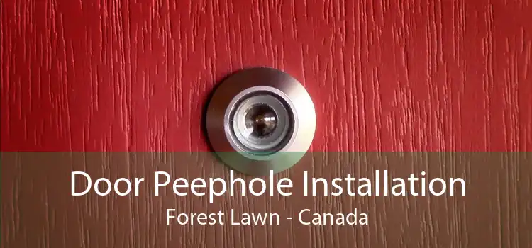 Door Peephole Installation Forest Lawn - Canada