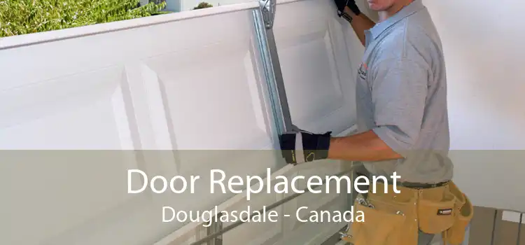 Door Replacement Douglasdale - Canada