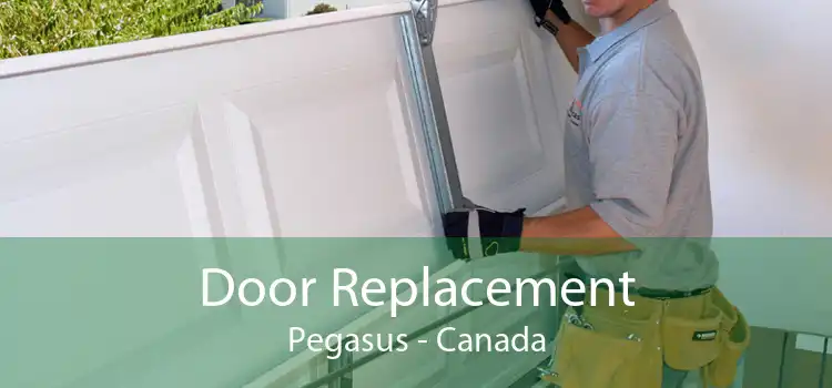 Door Replacement Pegasus - Canada