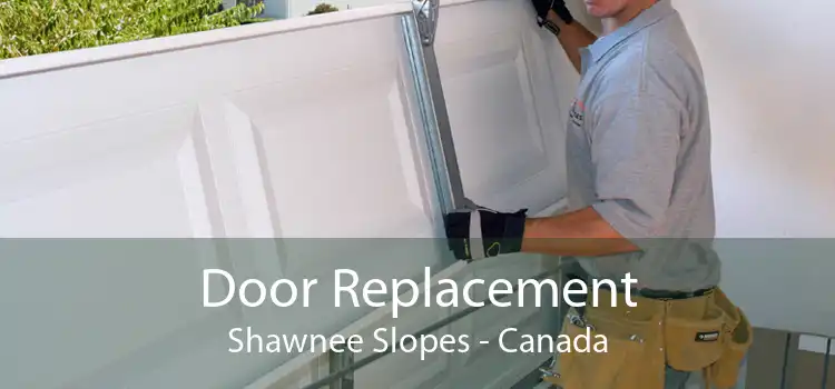 Door Replacement Shawnee Slopes - Canada