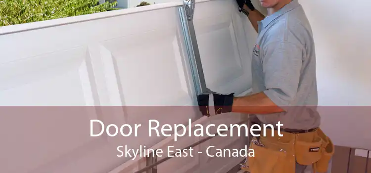 Door Replacement Skyline East - Canada