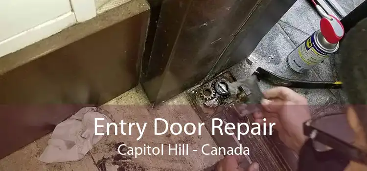 Entry Door Repair Capitol Hill - Canada