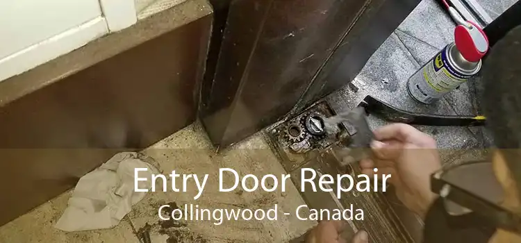 Entry Door Repair Collingwood - Canada