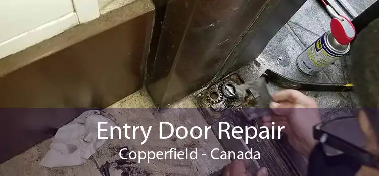 Entry Door Repair Copperfield - Canada