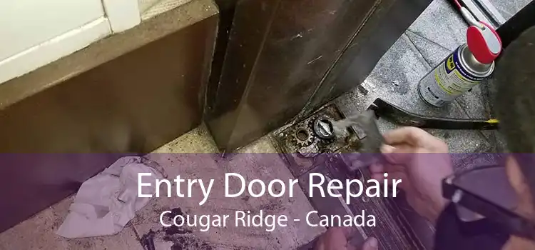 Entry Door Repair Cougar Ridge - Canada