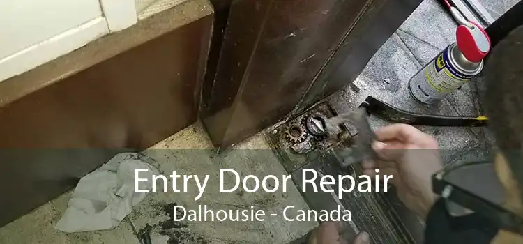 Entry Door Repair Dalhousie - Canada