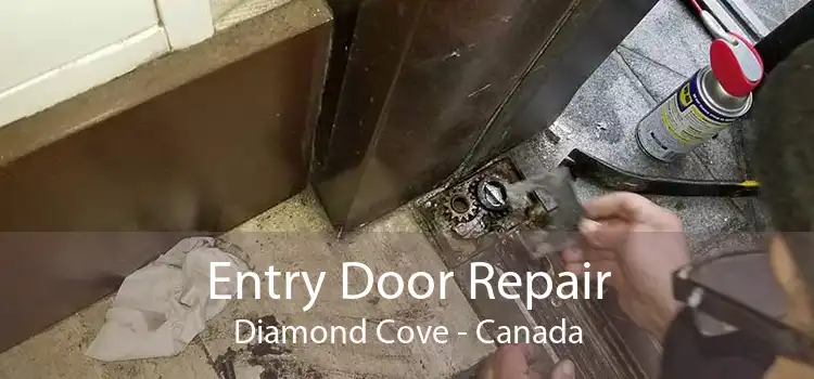 Entry Door Repair Diamond Cove - Canada