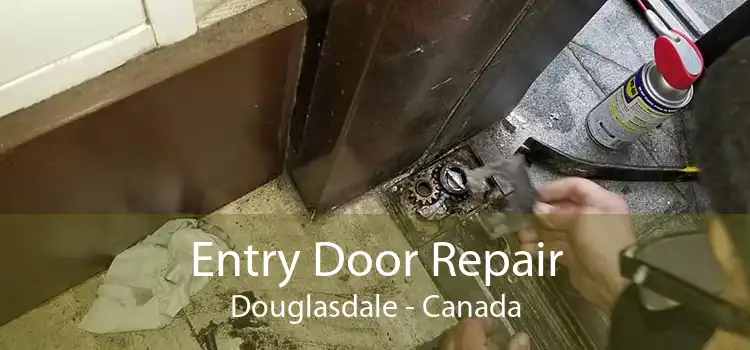 Entry Door Repair Douglasdale - Canada