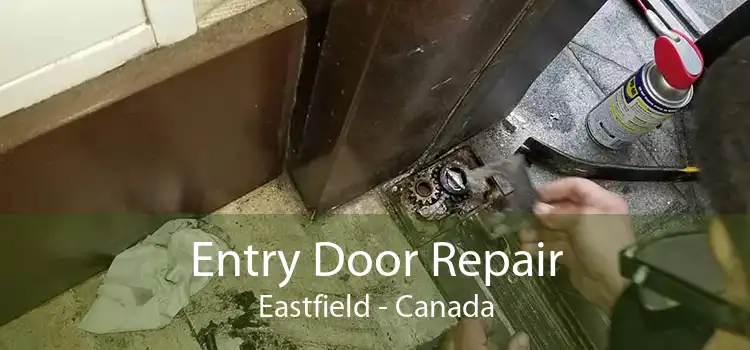 Entry Door Repair Eastfield - Canada