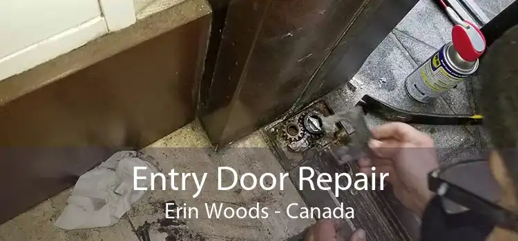 Entry Door Repair Erin Woods - Canada