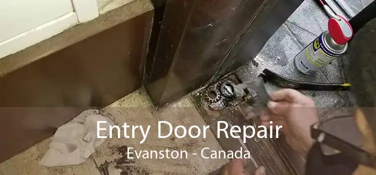 Entry Door Repair Evanston - Canada