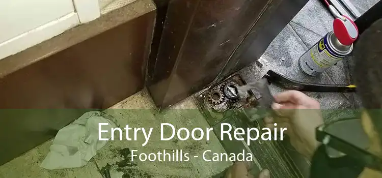 Entry Door Repair Foothills - Canada