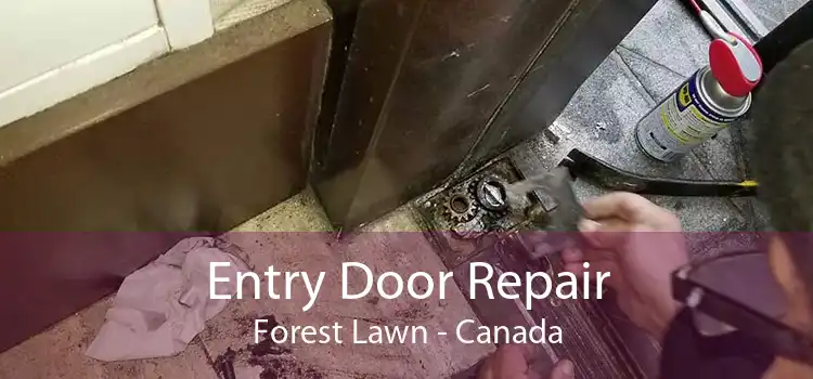 Entry Door Repair Forest Lawn - Canada