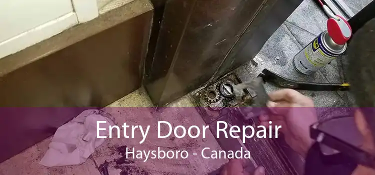 Entry Door Repair Haysboro - Canada