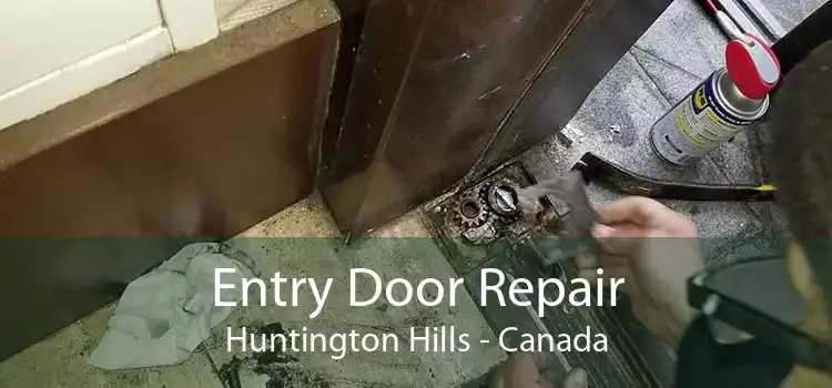 Entry Door Repair Huntington Hills - Canada