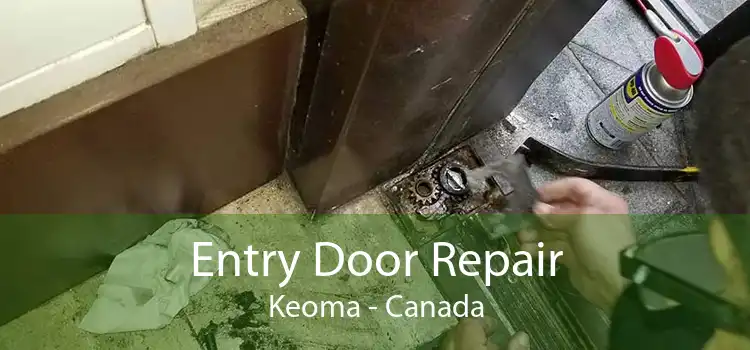 Entry Door Repair Keoma - Canada