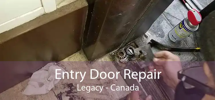 Entry Door Repair Legacy - Canada