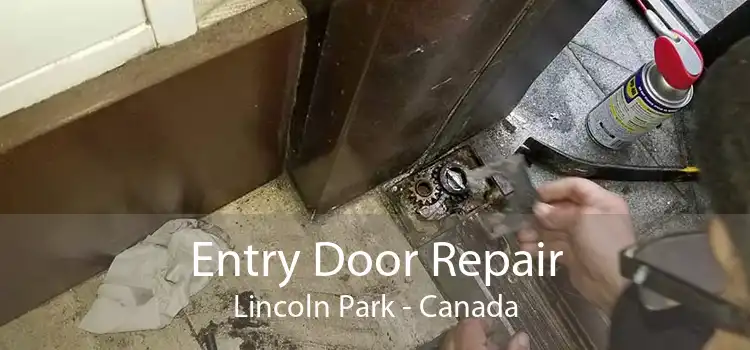 Entry Door Repair Lincoln Park - Canada