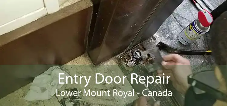 Entry Door Repair Lower Mount Royal - Canada