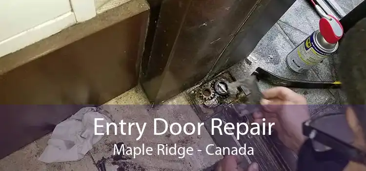 Entry Door Repair Maple Ridge - Canada