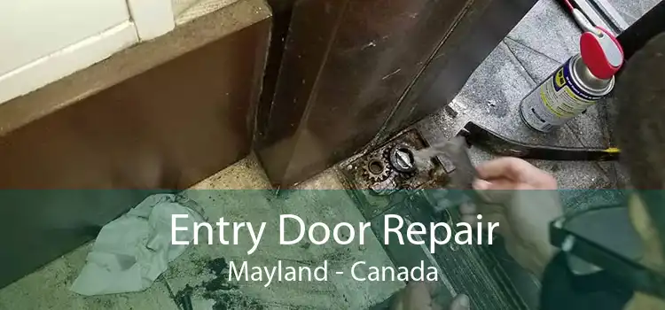Entry Door Repair Mayland - Canada