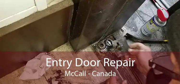 Entry Door Repair McCall - Canada