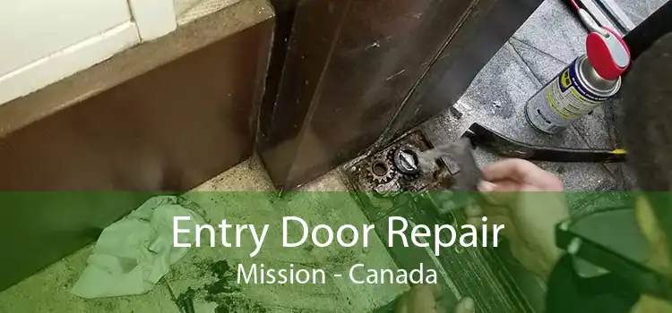 Entry Door Repair Mission - Canada
