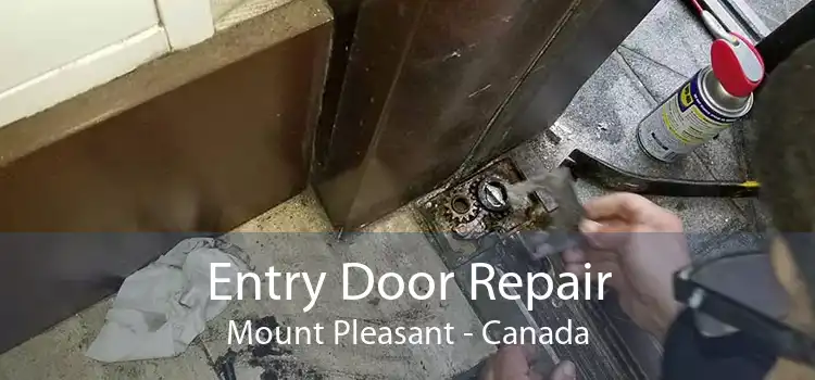 Entry Door Repair Mount Pleasant - Canada