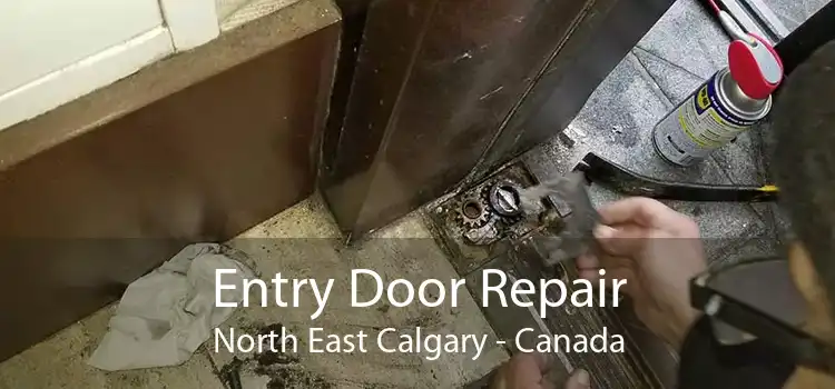 Entry Door Repair North East Calgary - Canada
