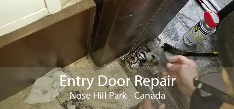 Entry Door Repair Nose Hill Park - Canada