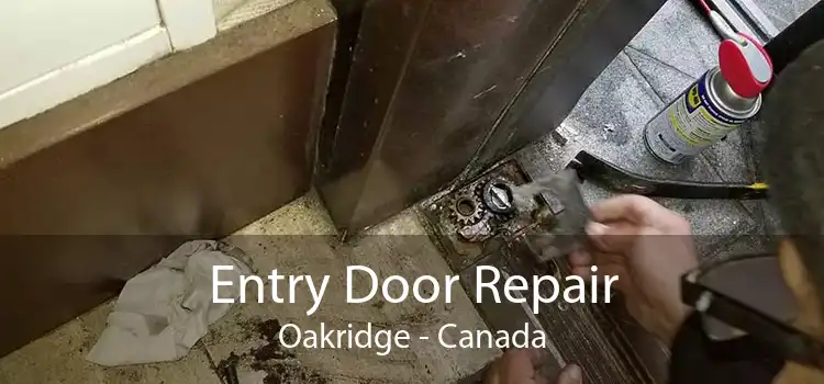 Entry Door Repair Oakridge - Canada