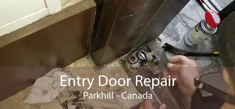 Entry Door Repair Parkhill - Canada