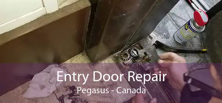 Entry Door Repair Pegasus - Canada