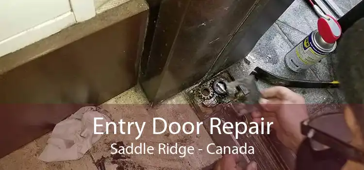 Entry Door Repair Saddle Ridge - Canada